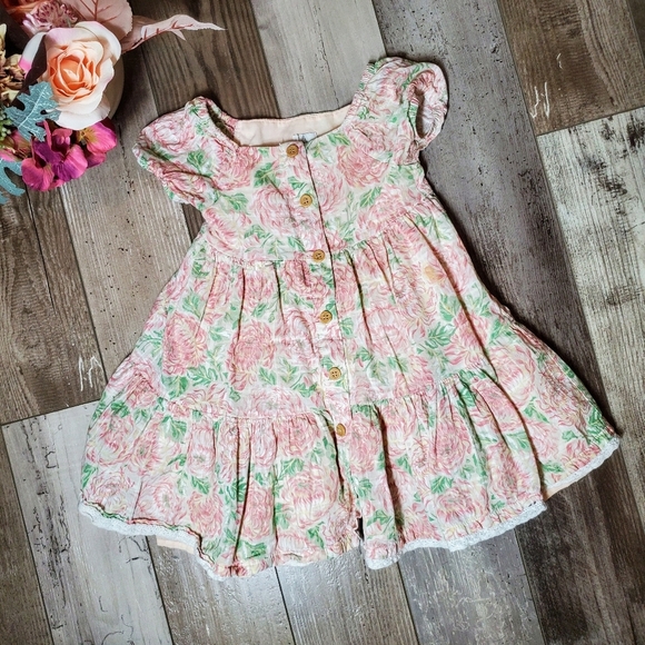 Joie Pink and Green Floral Button Down Toddler Girl Dress with Lace Size 2T EUC